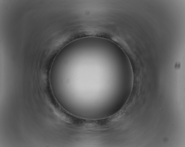 X0000092260066200709281212