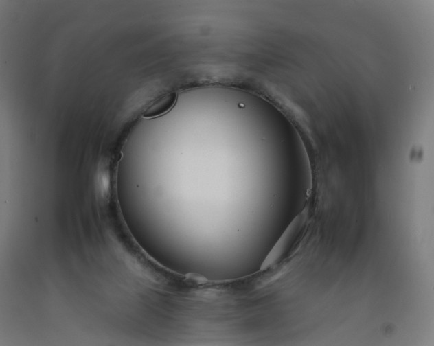 X0000092260067200709281212