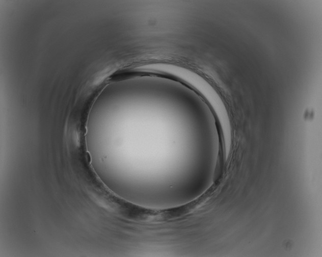 X0000092260068200709281212