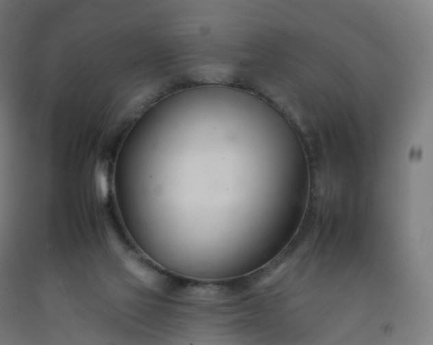 X0000092260069200709281212