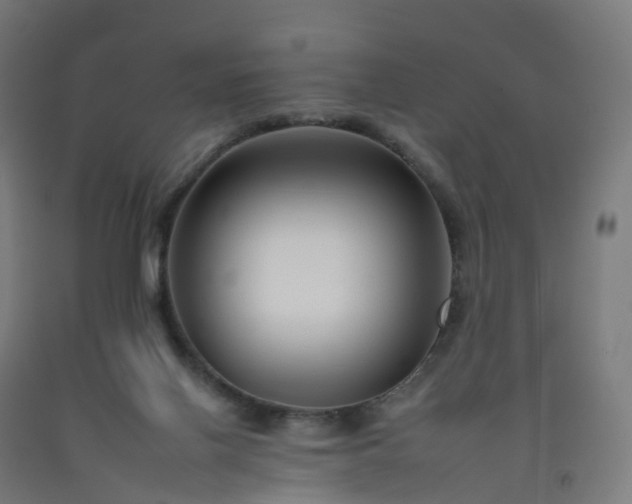 X0000092260070200709281212