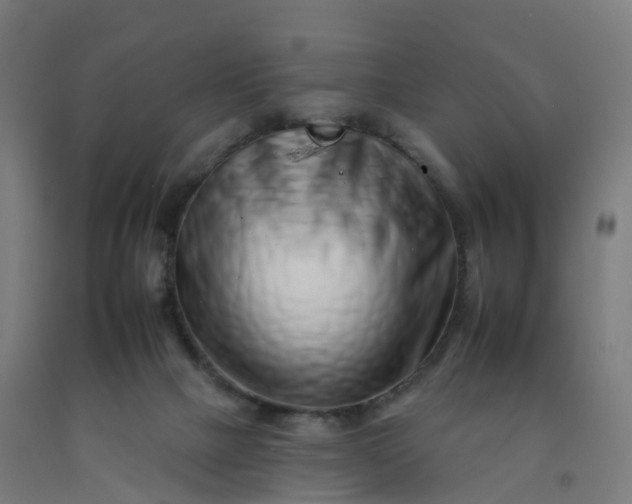 X0000092260073200709281212