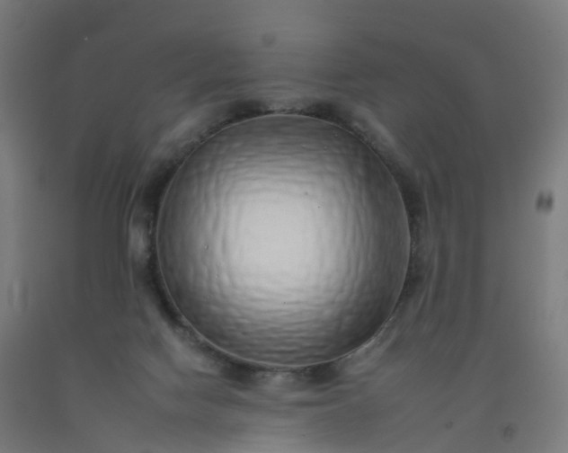 X0000092260074200709281212