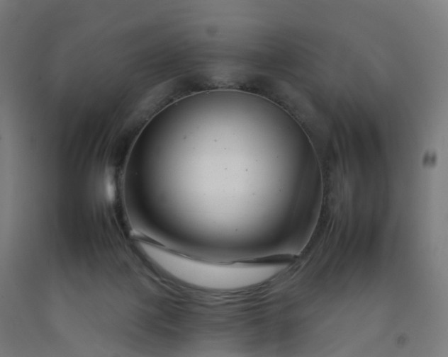 X0000092260075200709281212