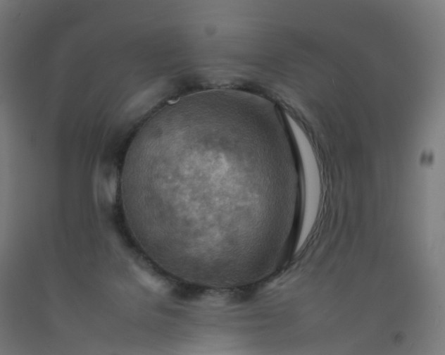 X0000092260076200709281212