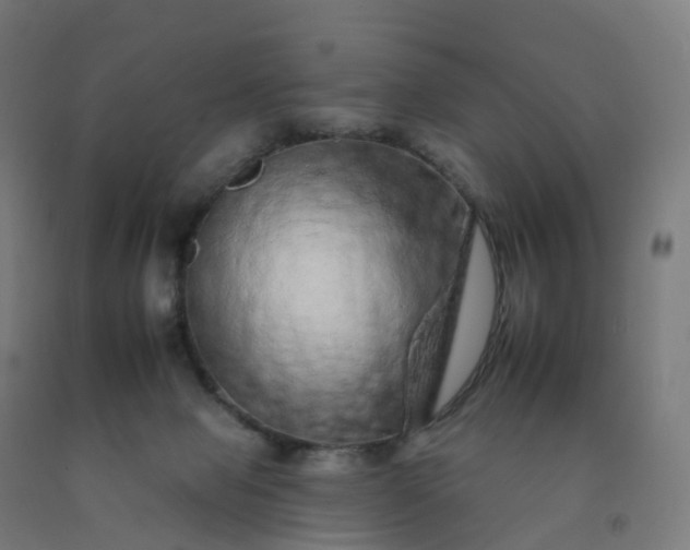 X0000092260077200709281212