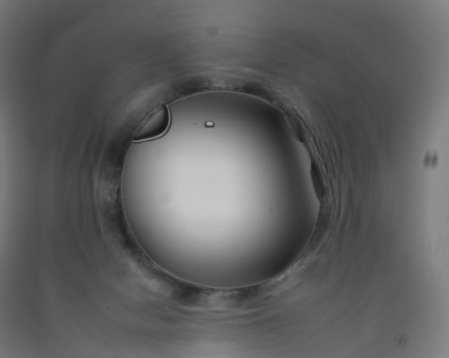 X0000092260078200709281212