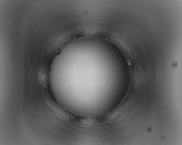 X0000092260079200709281212