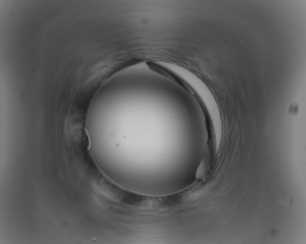 X0000092260080200709281212