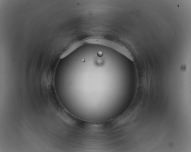 X0000092260081200709281212