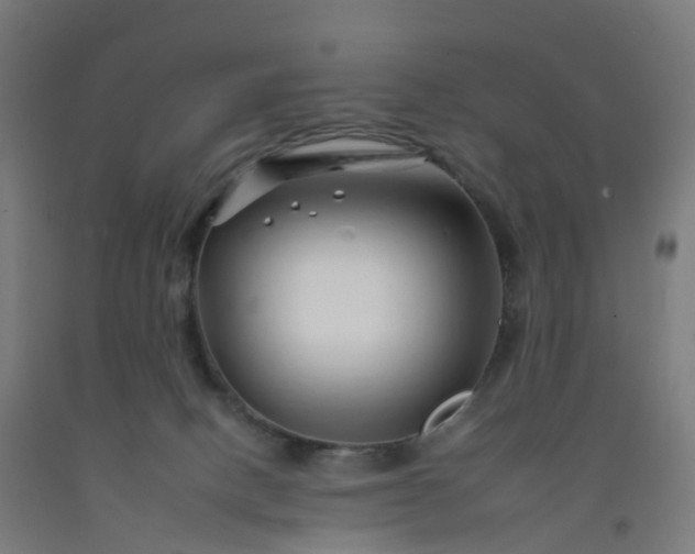 X0000092260082200709281212