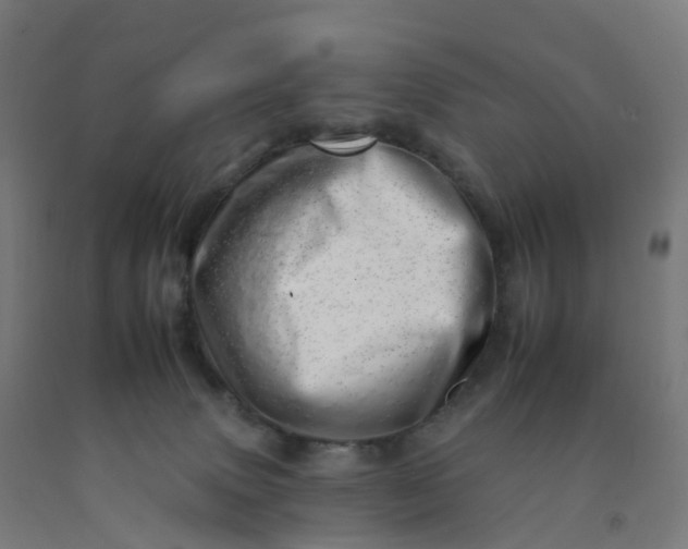 X0000092260083200709281212