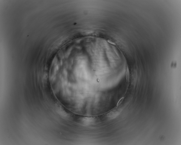 X0000092260085200709281212