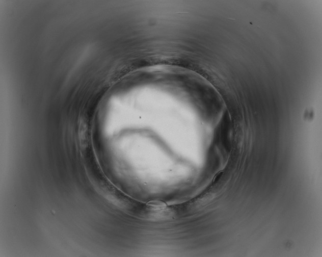 X0000092260087200709281212