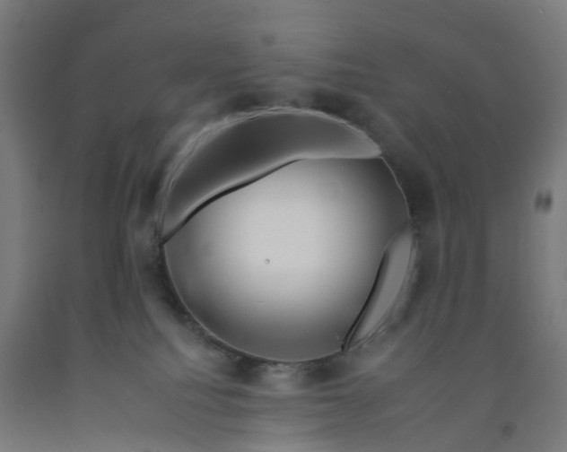 X0000092260088200709281212