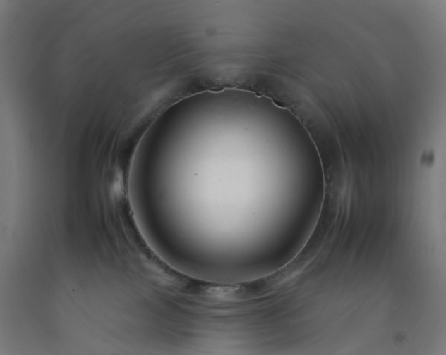 X0000092260089200709281212