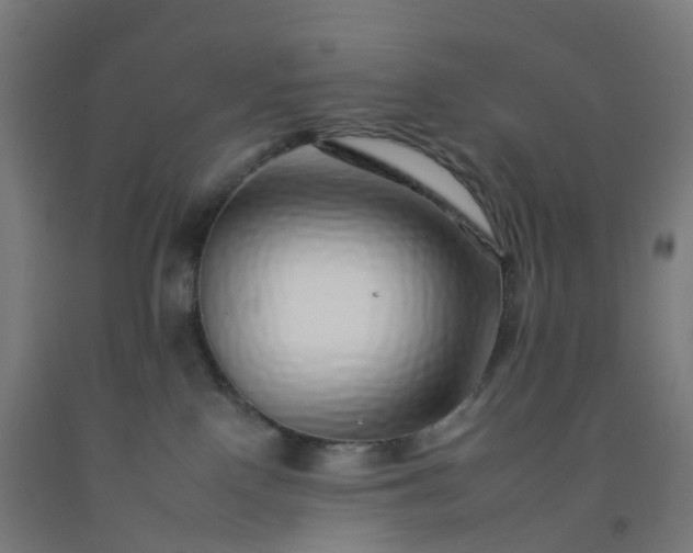 X0000092260090200709281212