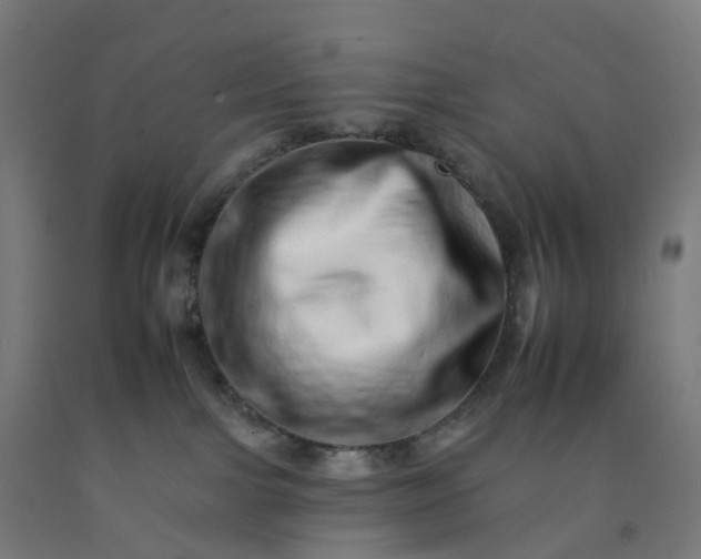 X0000092260091200709281212