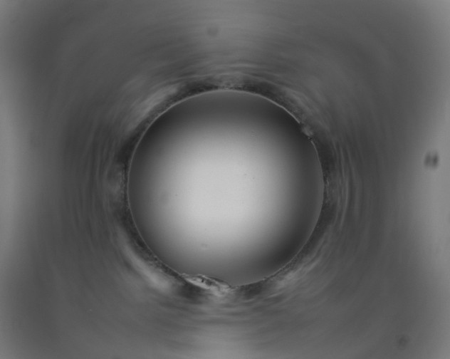 X0000092260092200709281212