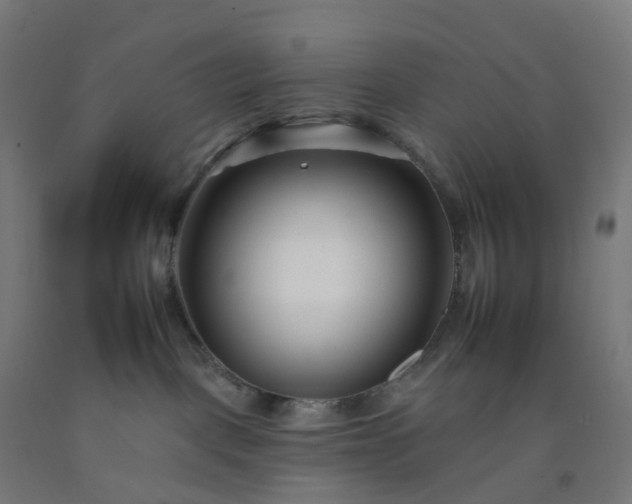 X0000092260093200709281212