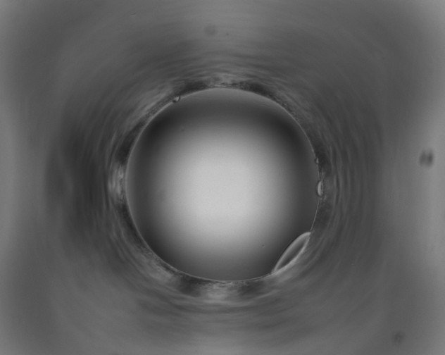 X0000092260094200709281212