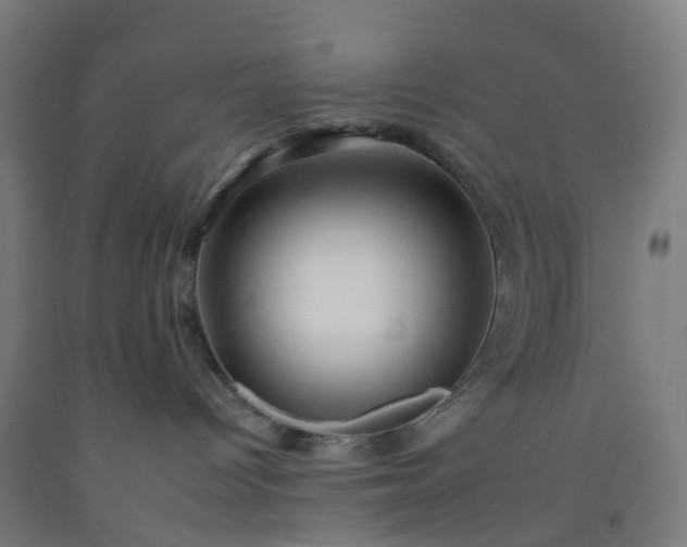 X0000092260096200709281212