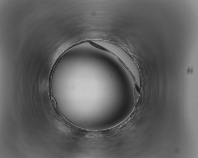 X0000092260099200709281212