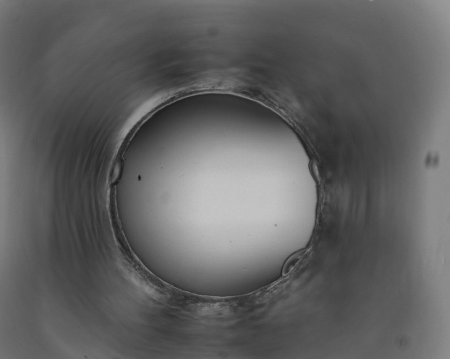 X0000092260100200709281212