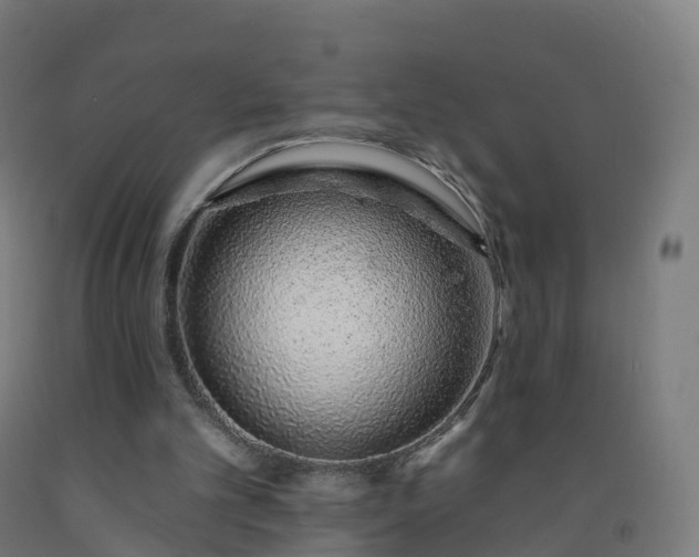 X0000092260101200709281212