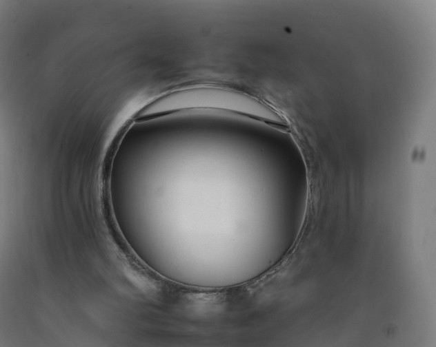 X0000092260102200709281212