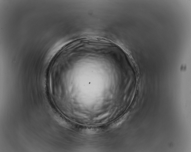 X0000092260103200709281212