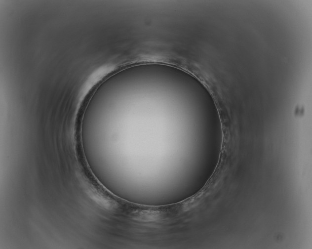 X0000092260104200709281212