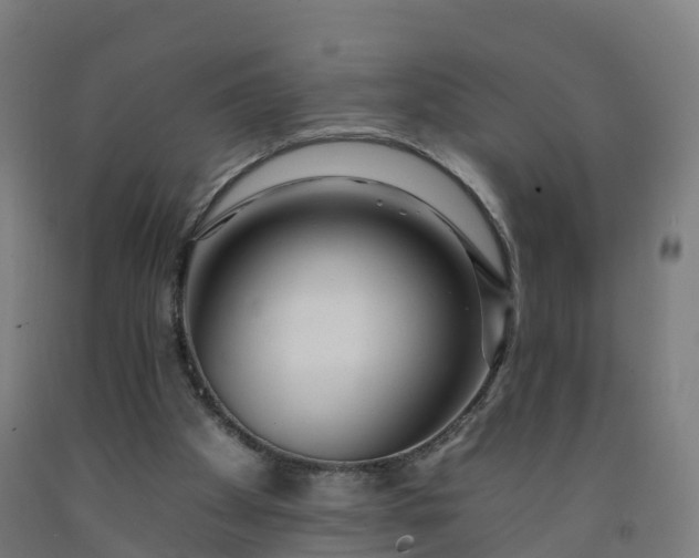 X0000092260105200709281212