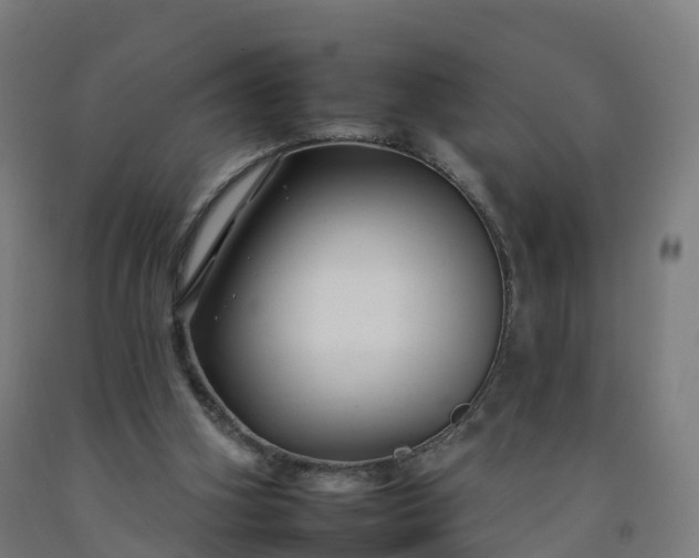 X0000092260106200709281212