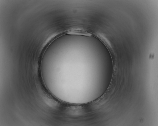 X0000092260108200709281212