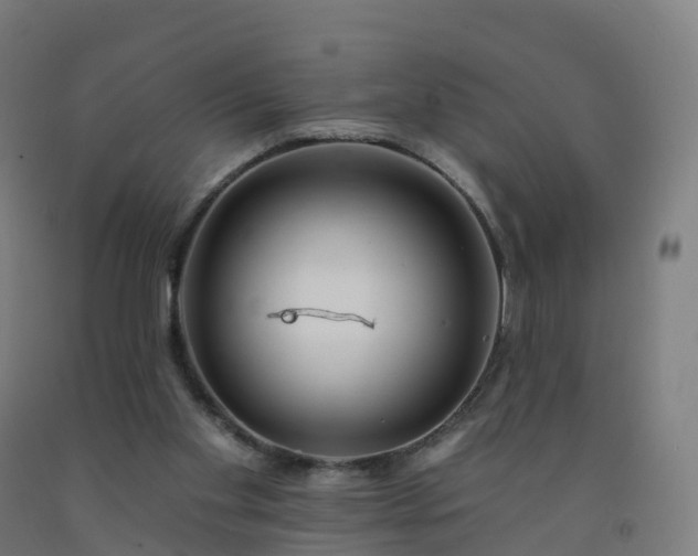 X0000092260109200709281212