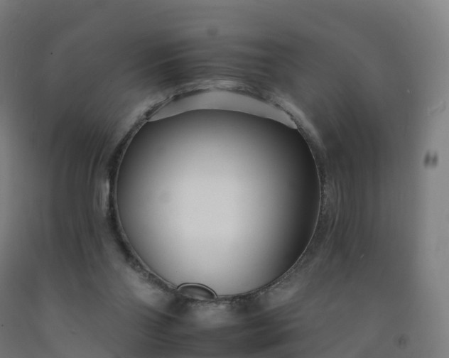 X0000092260110200709281212