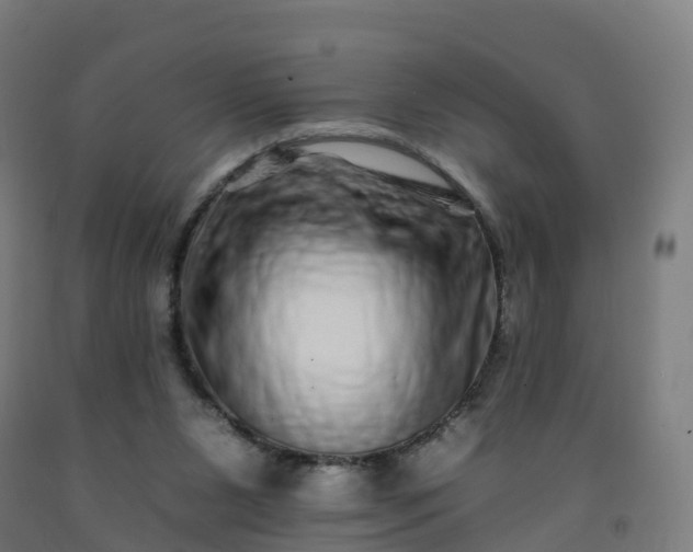 X0000092260111200709281212