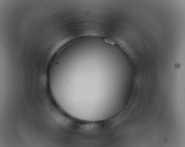 X0000092260112200709281212