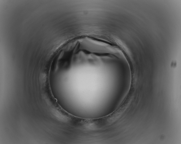 X0000092260113200709281211