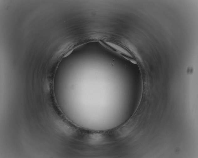 X0000092260114200709281211