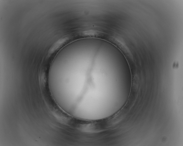 X0000092260116200709281211