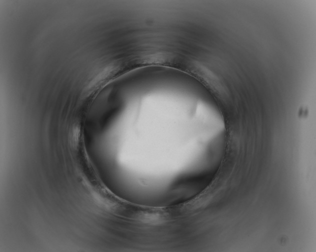 X0000092260118200709281211