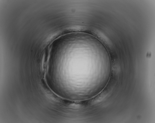 X0000092260119200709281211