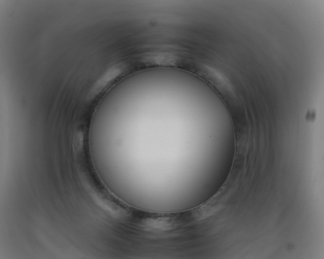 X0000092260120200709281211