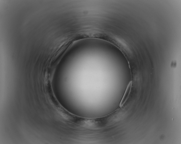 X0000092260121200709281211