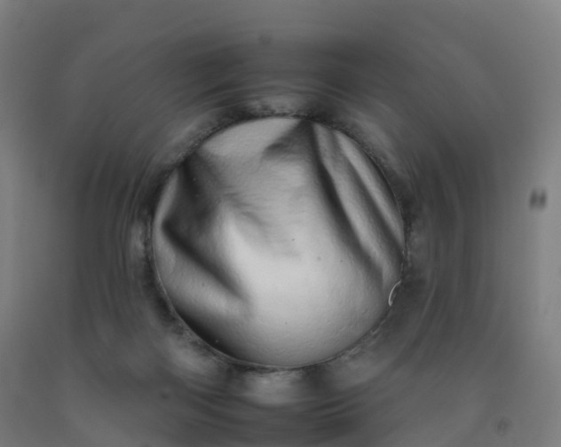 X0000092260122200709281211