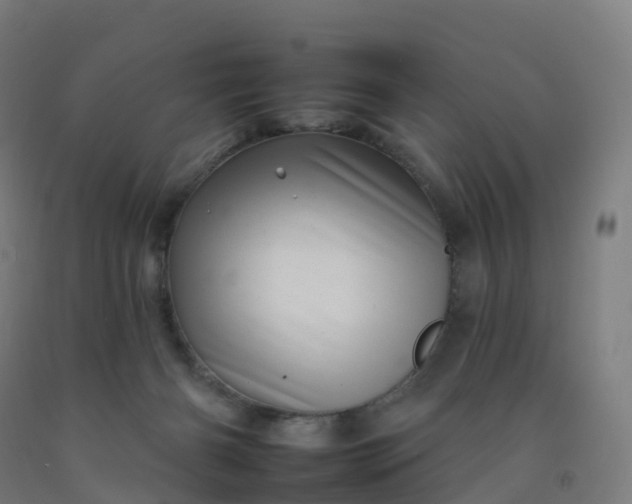 X0000092260126200709281211