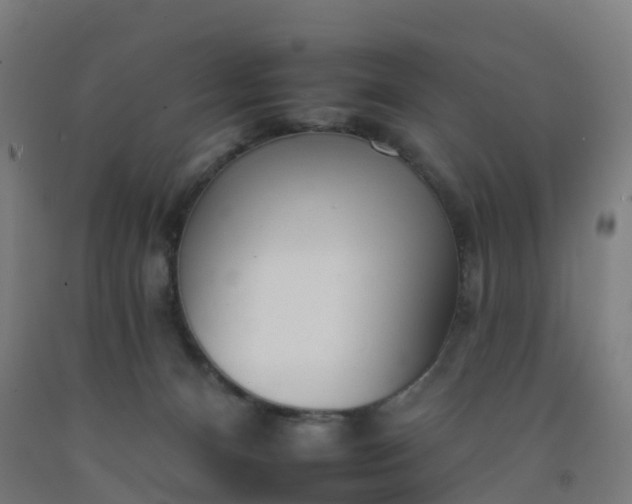 X0000092260128200709281211