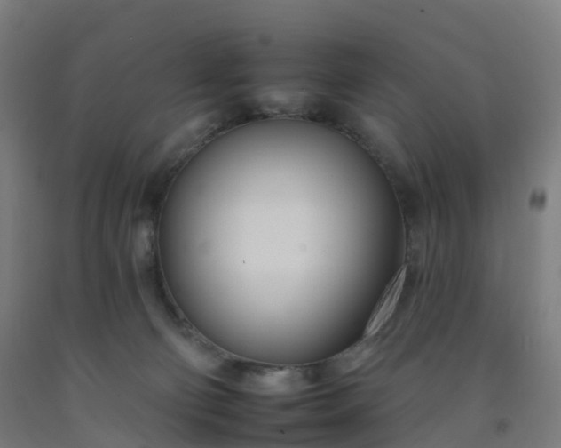 X0000092260130200709281211